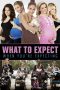 What to Expect When You're Expecting (2012) What to Expect When You're Expecting (2012)