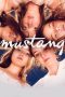 Mustang (2015) Mustang (2015)