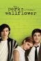 The Perks of Being a Wallflower (2012) The Perks of Being a Wallflower (2012)
