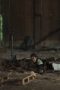 Remember You Season 1 Episode 13 Remember You Season 1 Episode 13